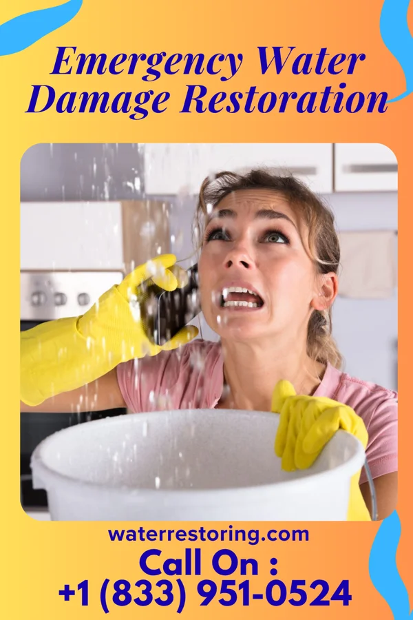 Emergency Water Damage Restoration in Antonito, CO